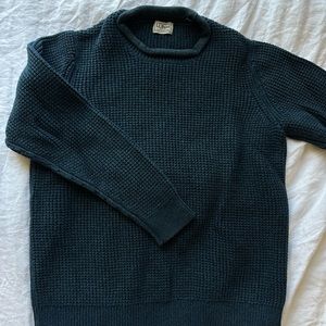LL bean blue sweater